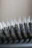 Kaer Brush #1