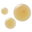 Active Recovery Broth