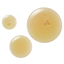 Active Recovery Broth