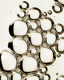 Botanical Body Oil | Aoki