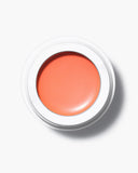 All-Over Color | Densuke